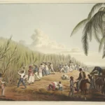 Expansion of Transatlantic Slave Trade 1600s+